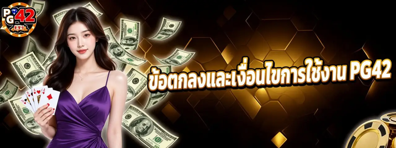 ข้อตกลงและเงื่อนไขการใช้งาน PG42